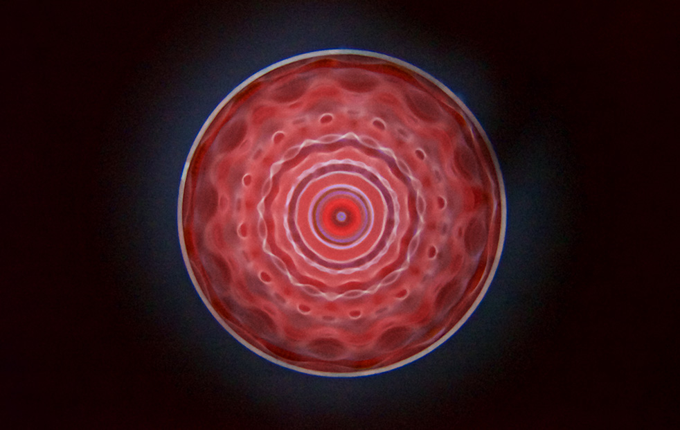 Vénus, par Yoann Ximenes