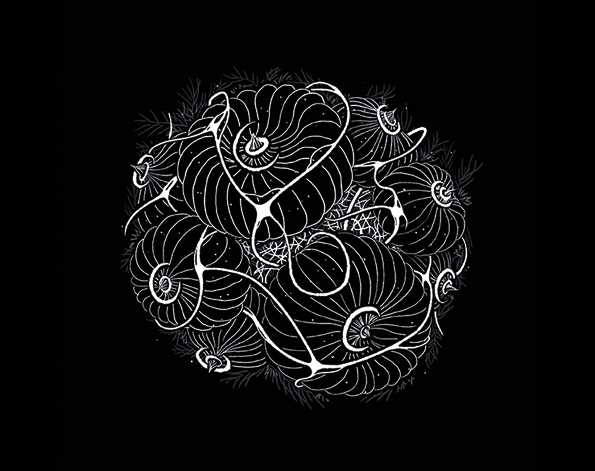 Gémeaux, par Alexandre Faisy © Moltogone