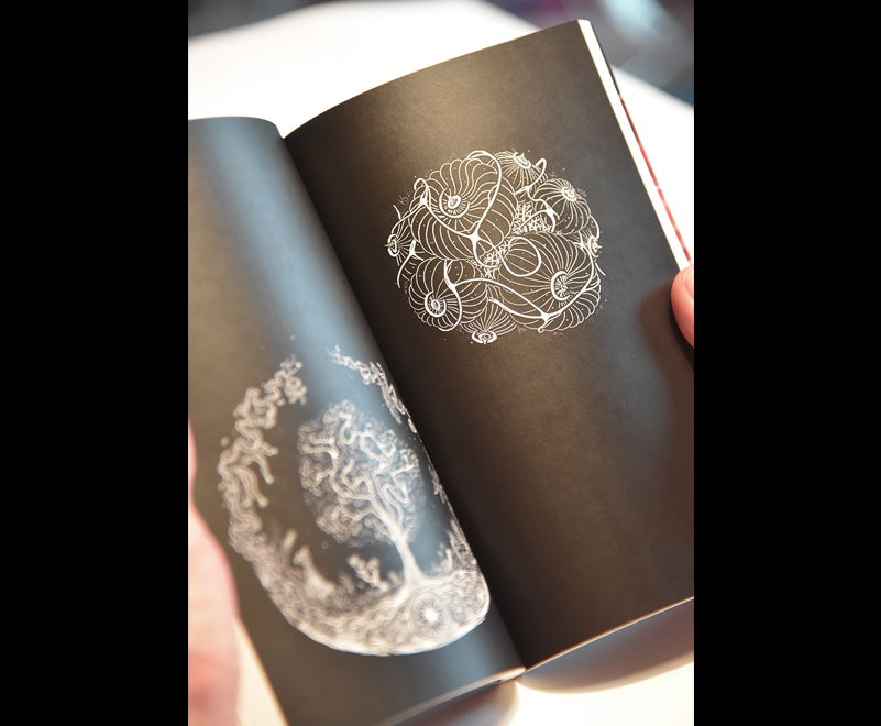 Gémeaux, par Alexandre Faisy